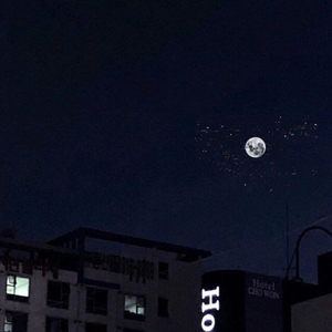 外国操逼记录片
